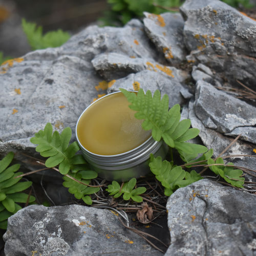 Envase completamente abierto de crema natural para dolor sobre roca con helecho